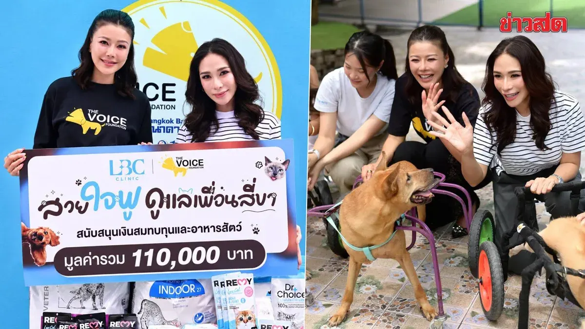 Beauty Clinic Teams With Charity to Fund Stray Animal Care