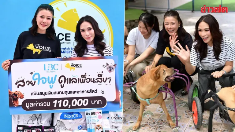 Beauty Clinic Teams With Charity to Fund Stray Animal Care