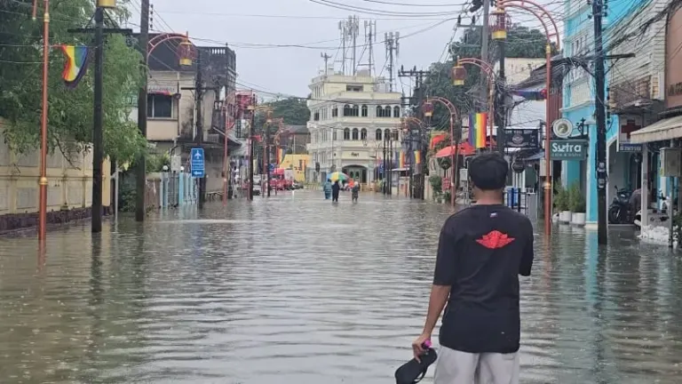 Heavy Rain Floods Phuket Roads, Python Caught
