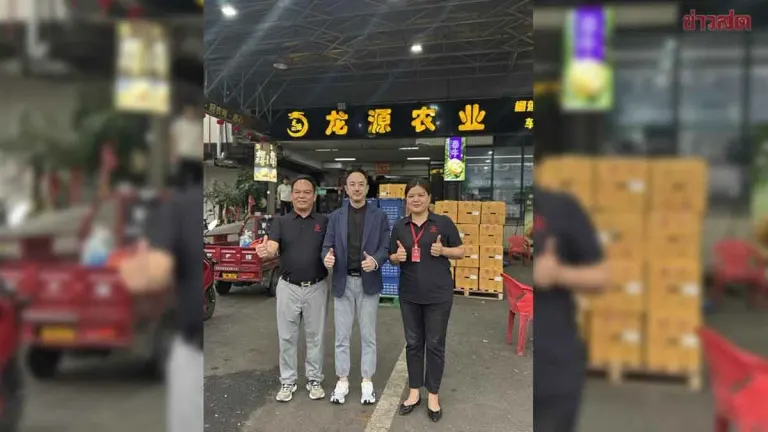 Thai Durian Sales Push in Nanning: Strong Orders from Importers and Snack Manufacturers
