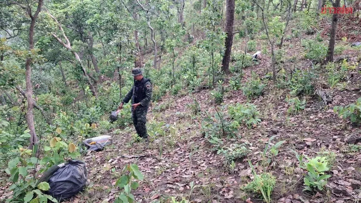 Troops Seize 6.4 Million Pills in Border Gunfight