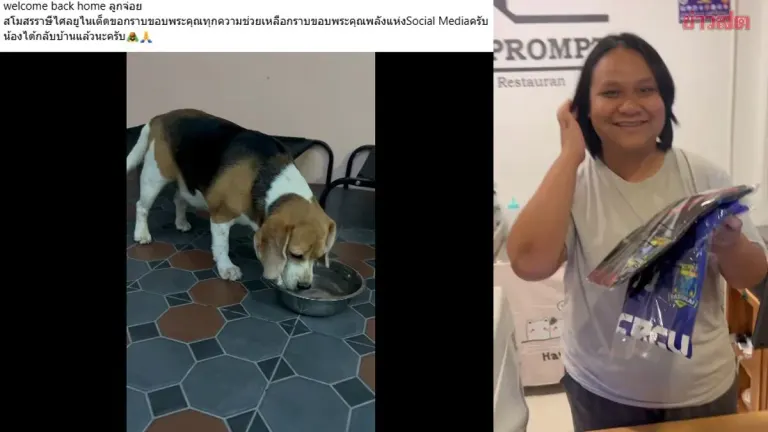Ratsii Sai Announces Good News: 'Choy' Found Safe and Home, Reward Offered to Informant as Promised