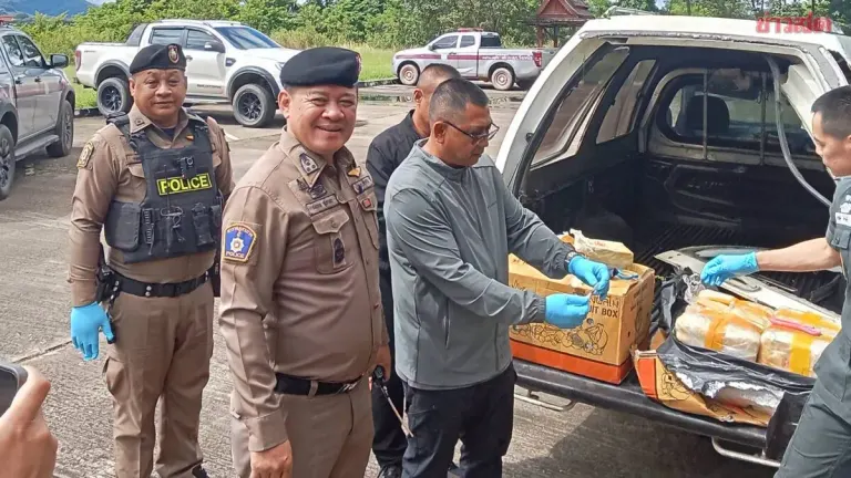 Pickup Truck Carrying Fruit Crashes, 3M Methamphetamine Pills Found