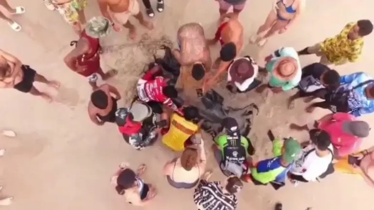 Patong Lifeguards Rescue Stranded Dolphin Calf