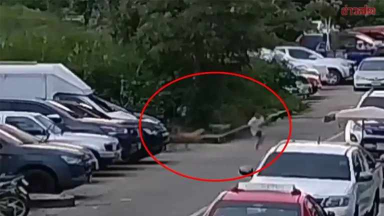 Child Bitten by Stray Dogs at Housing Estate Raises Liability Questions