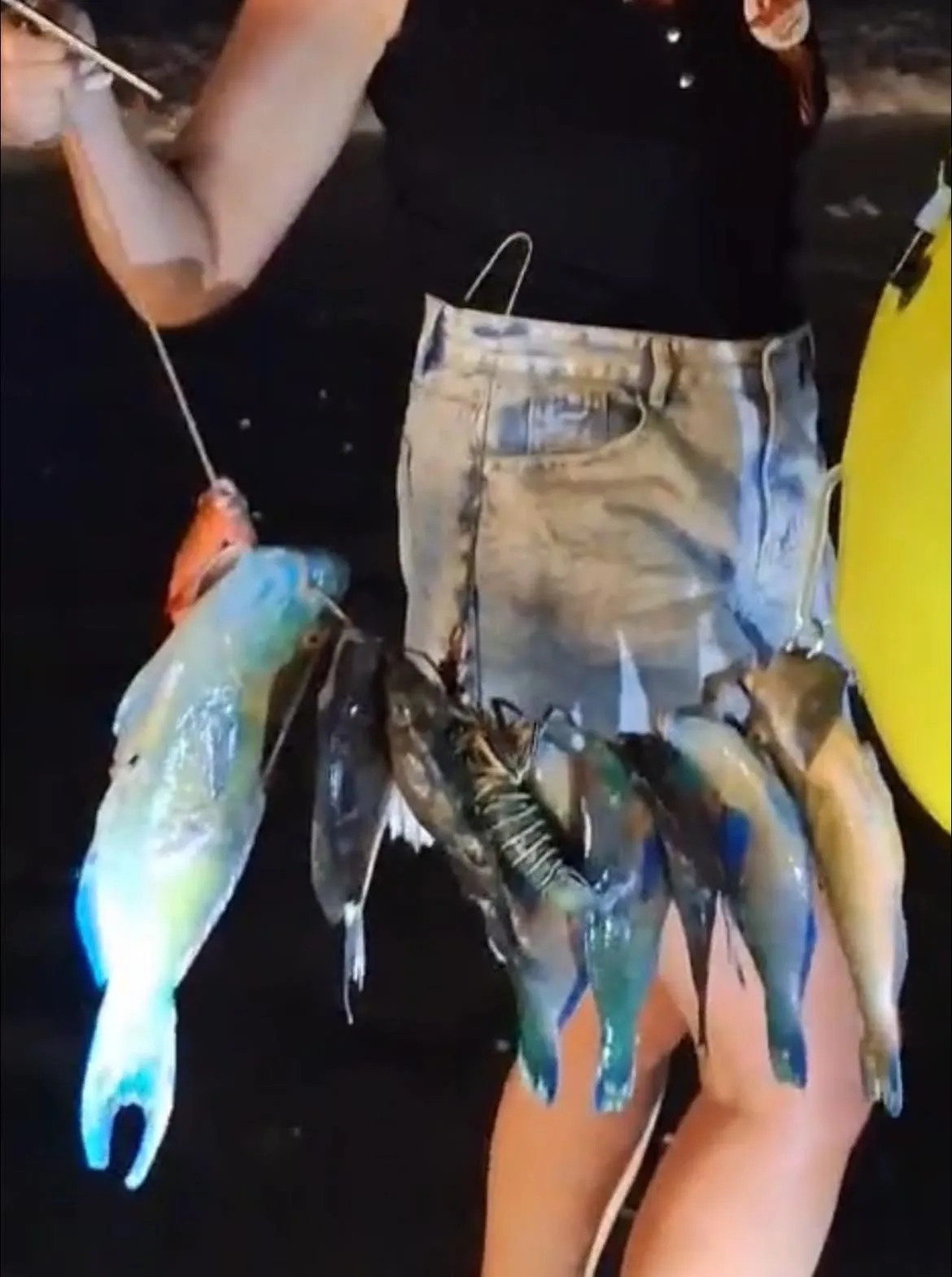 Chinese Tourists Accused of Spearfishing Protected Parrotfish at Phuket’s Kata Beach