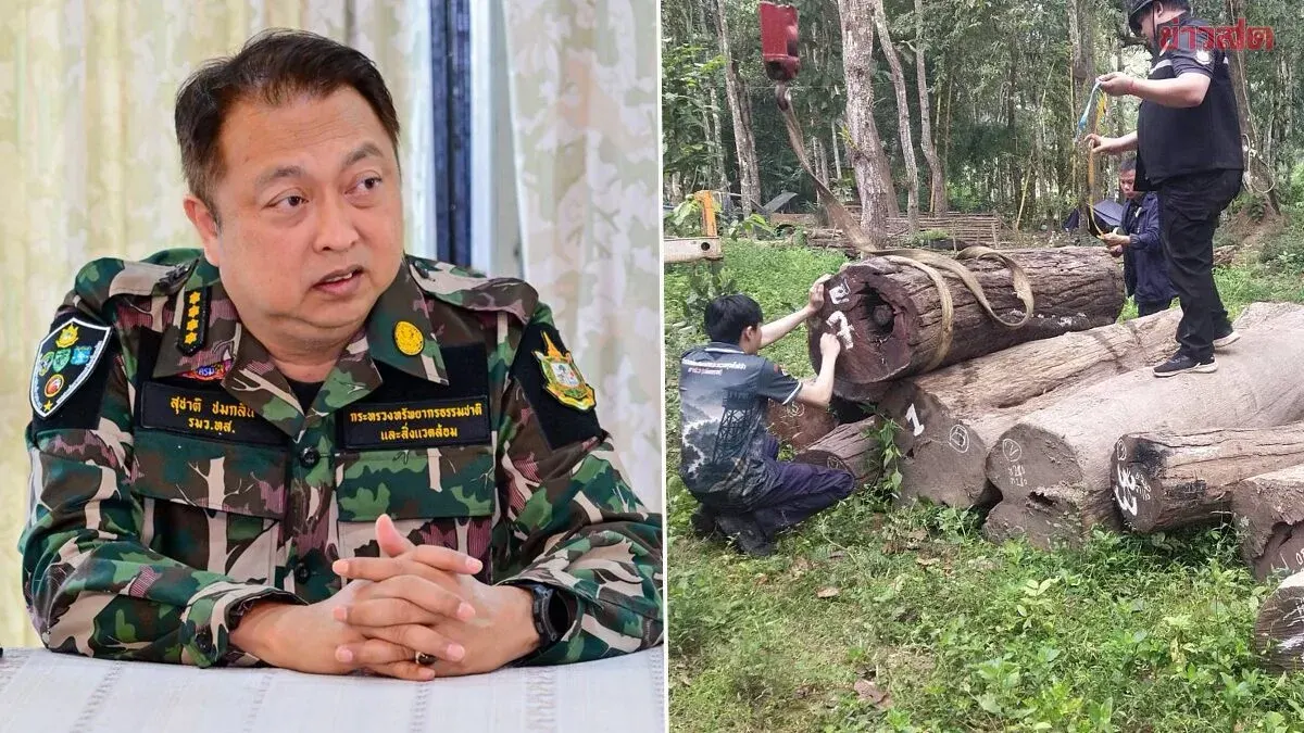 Timber Processing Warehouse Raided in Chiang Rai