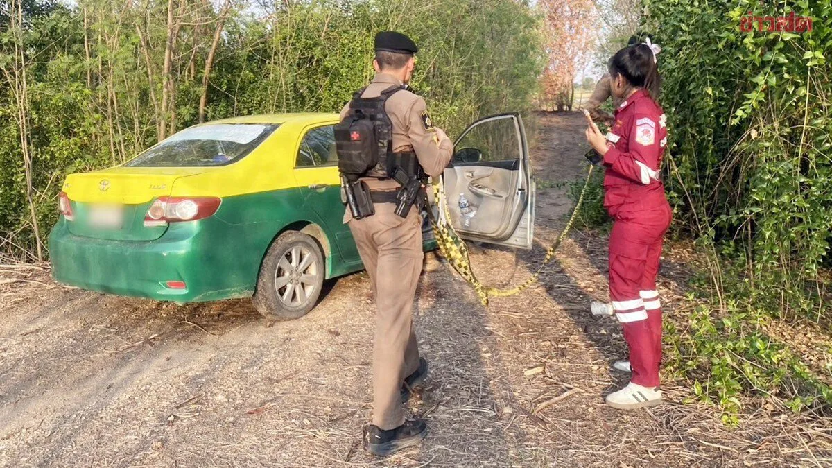 Taxi Driver Beaten to Death and Robbed, Body Left in Ayutthaya Rice Field; Police Launch Manhunt for Brutal Killer