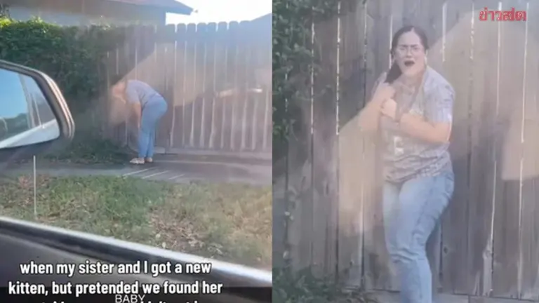 Siblings Stage Cat Rescue to Fool Parents Into Adoption