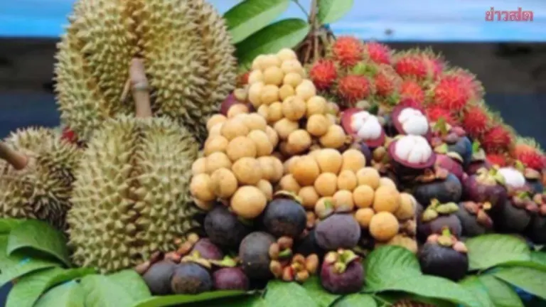 Thailand Pushes Fruit Exports to 332.5 Billion Baht