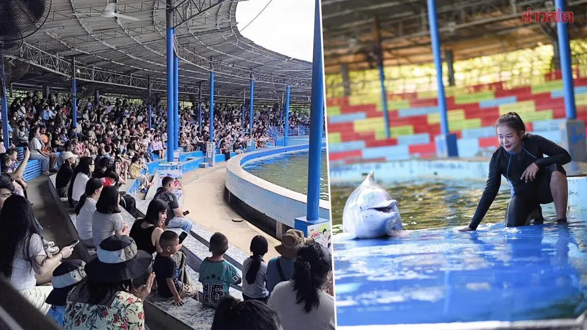 Oasis Sea World Bounces Back With Full Crowds After Going Viral