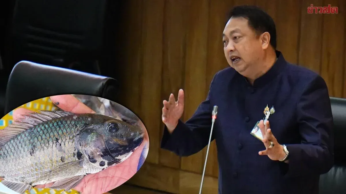 Suchat Demands Seven Days to Verify Black-Chin Tilapia Data, Insists Evidence Must Be Clear Before Prosecution