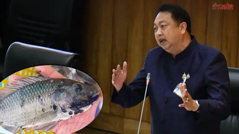 Suchat Demands Seven Days to Verify Black-Chin Tilapia Data, Insists Evidence Must Be Clear Before Prosecution
