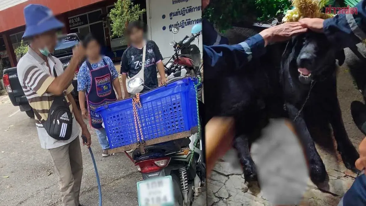 Man Accused of Dragging Dog Miles Behind Motorcycle
