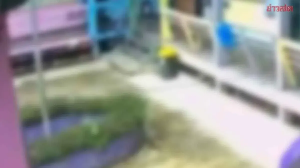 School Principal Accused of Hitting Grade 2 Student During Flag Ceremony