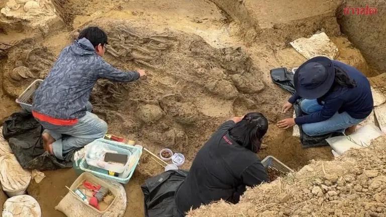 Community Plans Merit-Making Ceremony for Ancient Skeletal Remains Unearthed in Field, Found Wearing Gold Bracelet