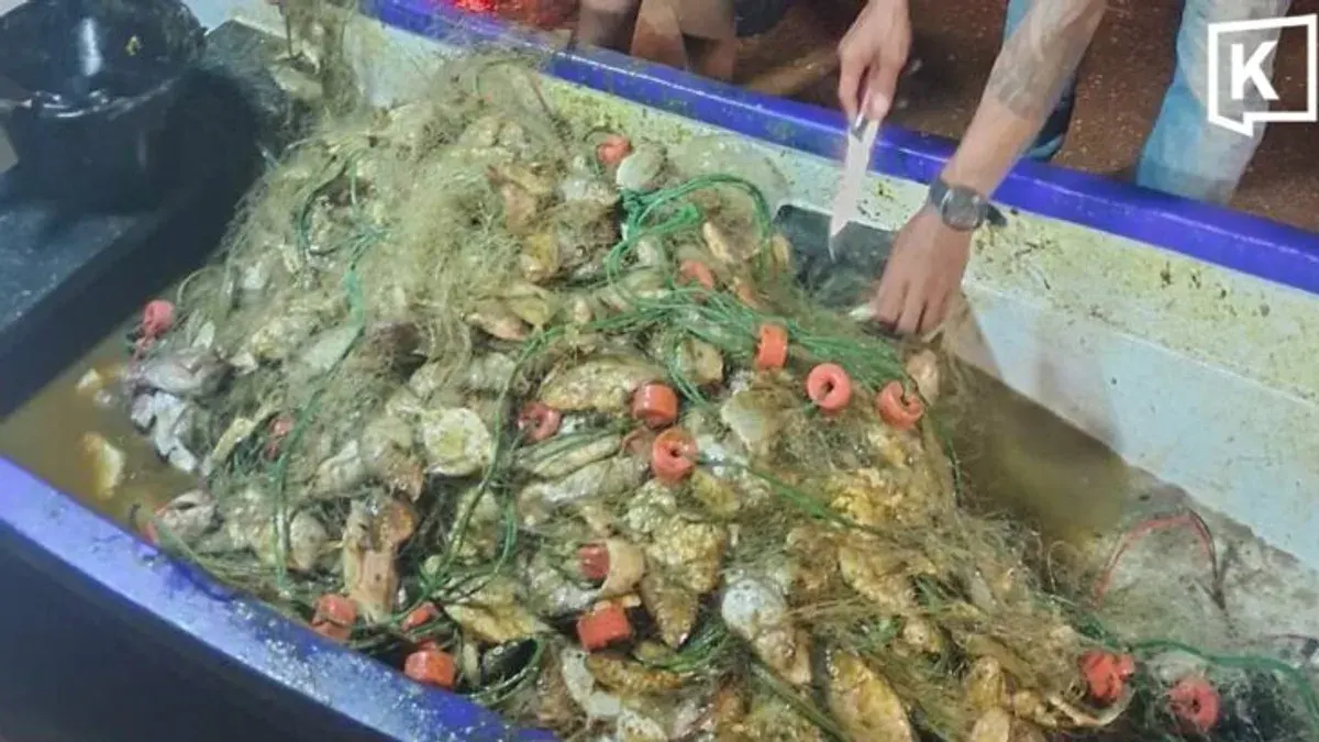 Invasive Tilapia Swarm Stuns Fishermen Off Chonburi Coast