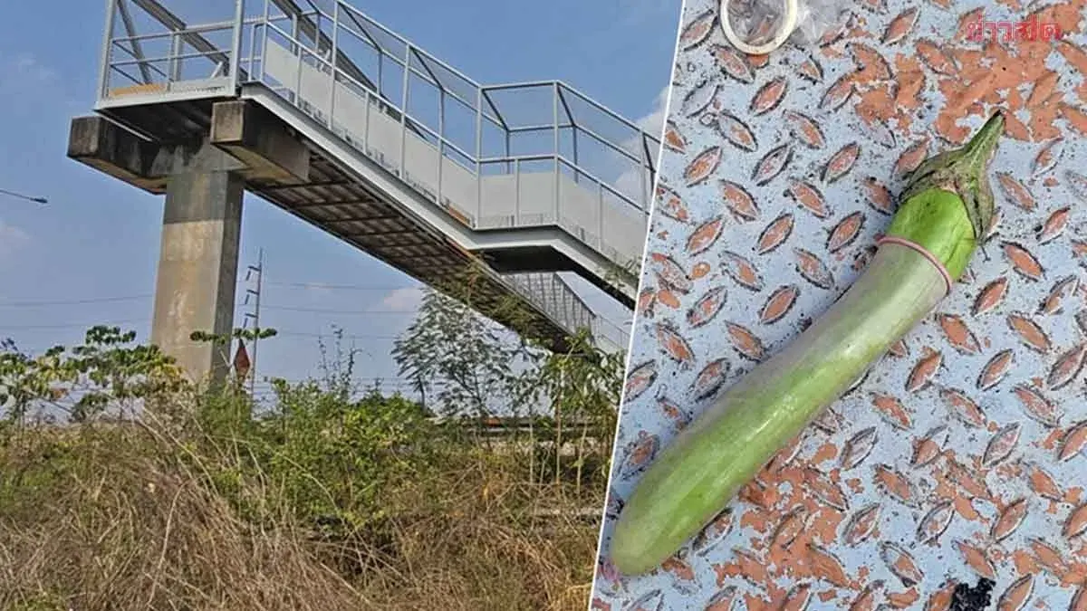 Sky Bridge Homestay: Residents Report Young Couple Engaged in Drug Use and Filming Explicit OnlyFans Content on Overpass