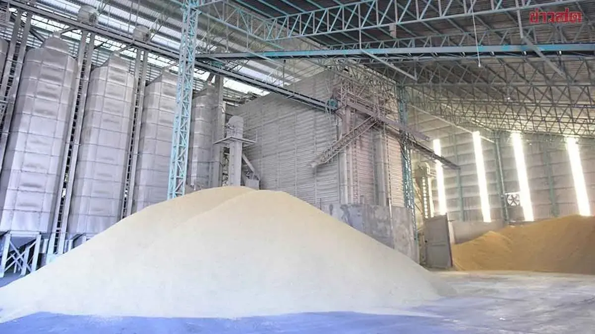 Thai Rice Exports Poised To Exceed 7.2 Million Tons