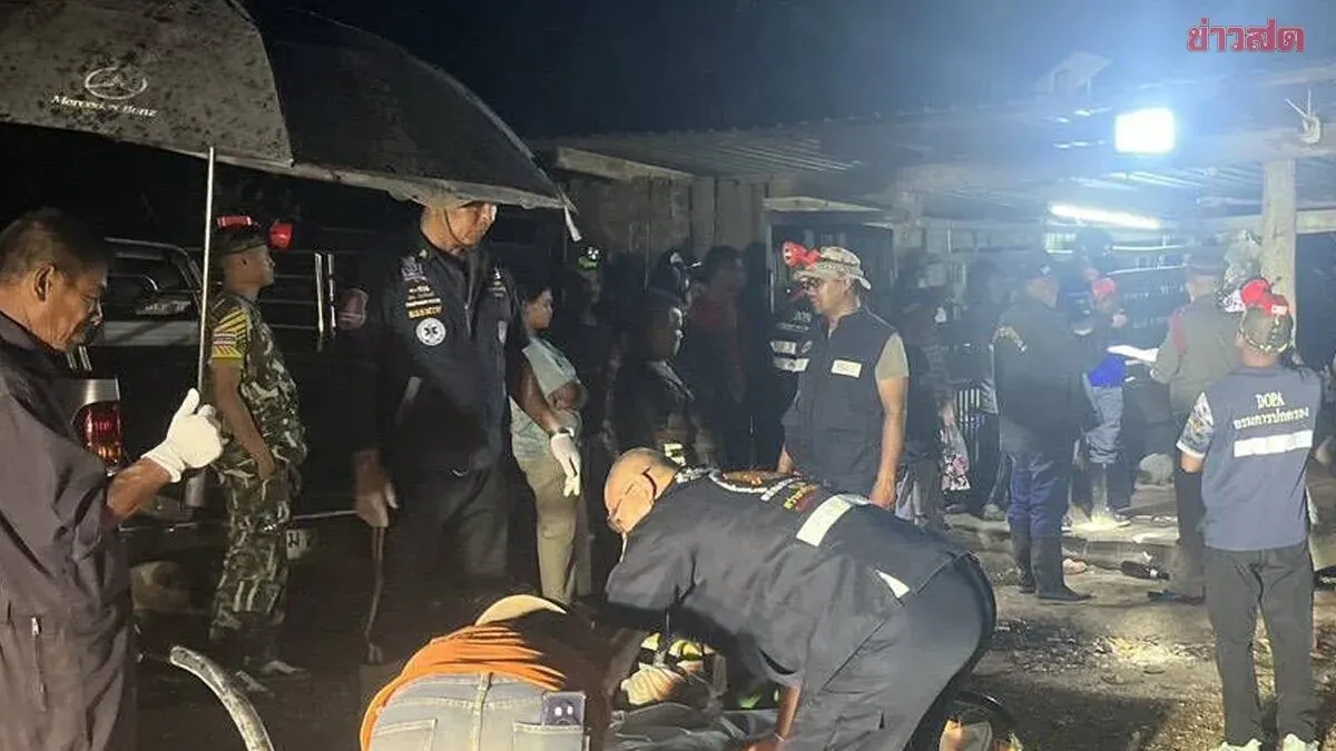 Tragedy: Wild Elephant Tramples Myanmar Woman, Farm Worker Killed in Durian Orchard