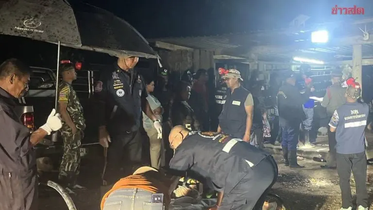 Tragedy: Wild Elephant Tramples Myanmar Woman, Farm Worker Killed in Durian Orchard