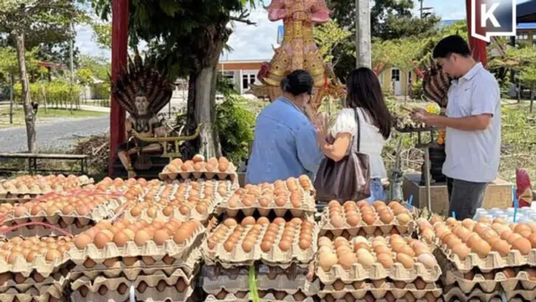 Chonburi Man Donates 8,900 Eggs After Lottery Winning Streak