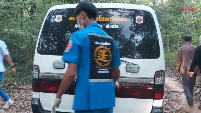 Tragedy Strikes: 62-Year-Old Man Dies After Swarm of Bees Attacks Him in Forest