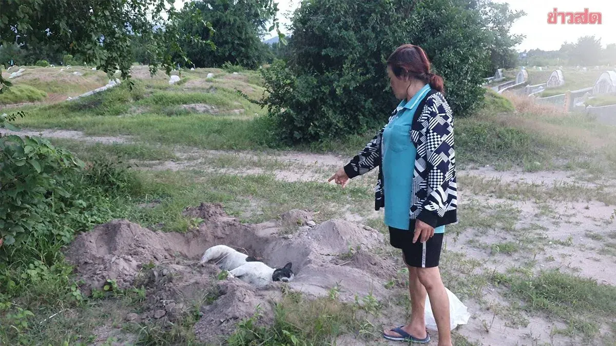 Ten Dogs Poisoned At Cemetery In Suspected Deliberate Kill