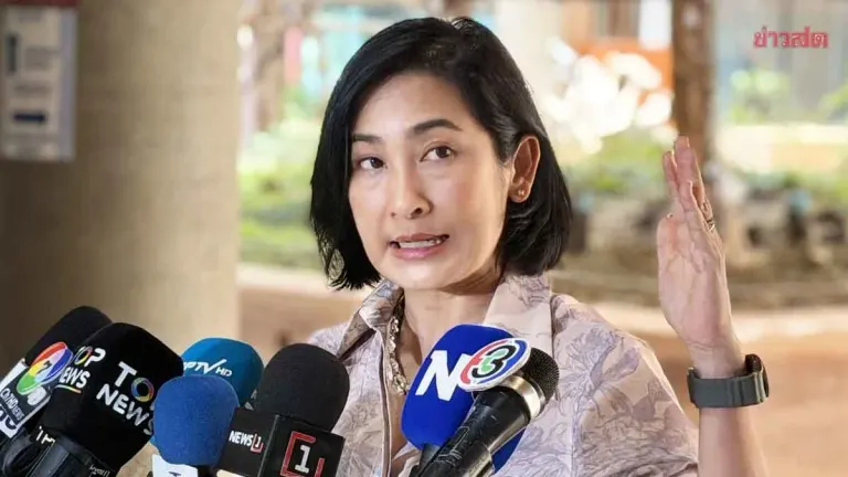 Democrat Deputy Chief Fires Back at Minister Critics