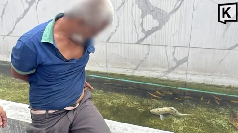 Man Arrested for Sexual Abuse of Koi Fish in Bangkok