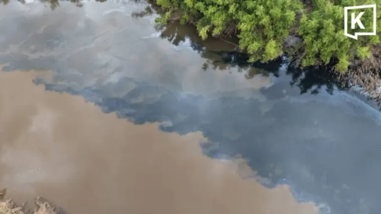 Prachin Buri Residents Suspect Chemical Contamination in Black Water