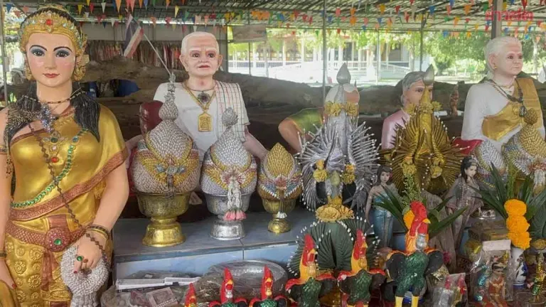 Villagers Seek Lottery Luck at Sacred Cat Shrine