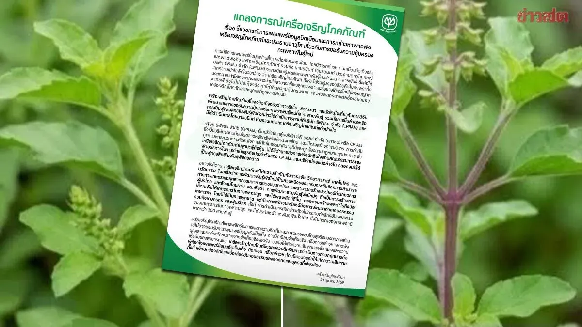 CP Group Denies Basil Monopoly Claims, Vows Legal Action