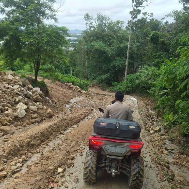 Phuket Authorities Crack Down on Forest Encroachment