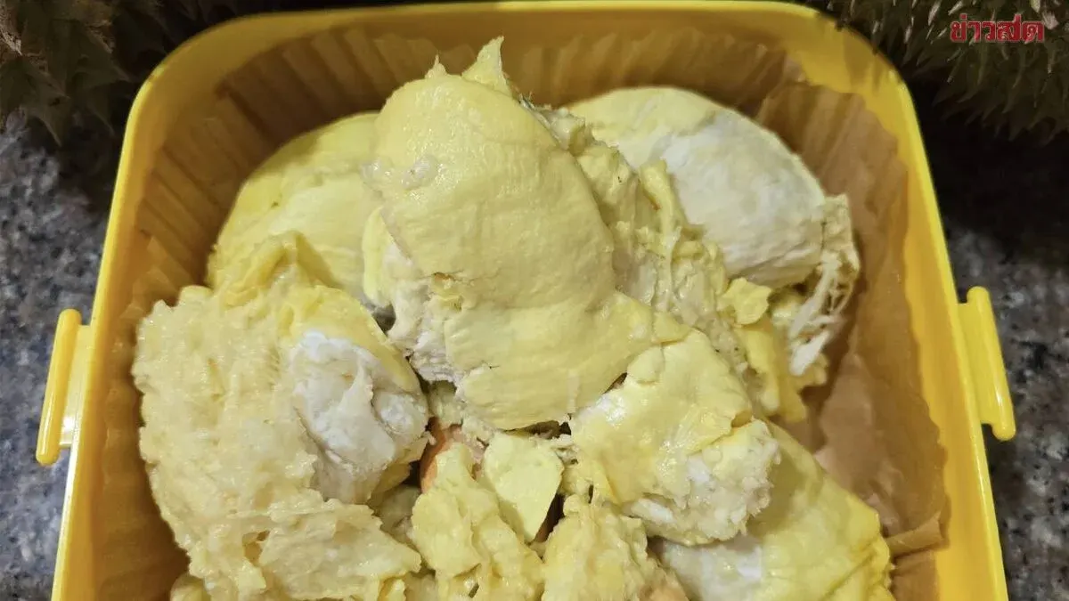 Review: Disappointed with 12kg Primmy Pie Durian at 1,800 Baht Despite Celebrity Endorsement