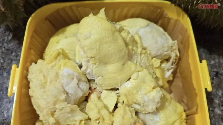 Review: Disappointed with 12kg Primmy Pie Durian at 1,800 Baht Despite Celebrity Endorsement