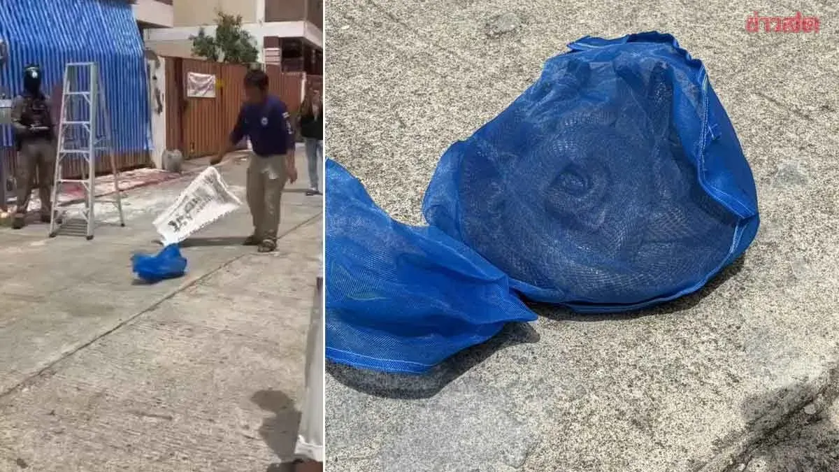 Entire Alley Terrorized as Unknown Man Throws Over 5 Cobras Into Dispute Target's House; Neighbors Fear for Safety