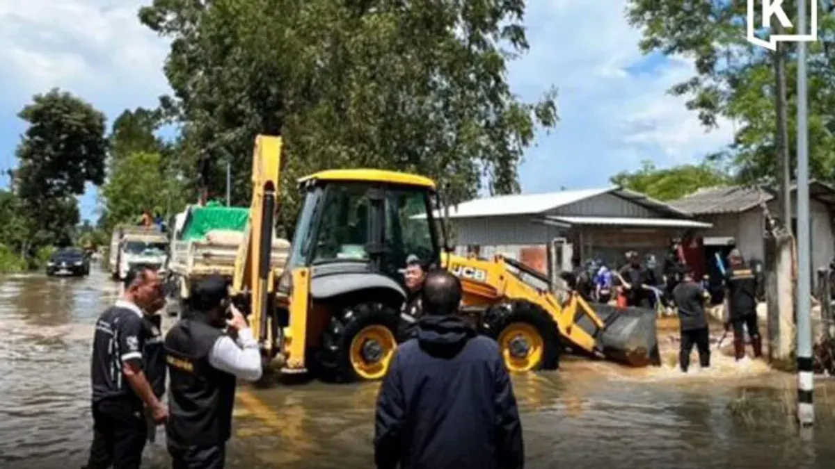 Prachin Buri Rushes to Bury 2,000 Flood‑Killed Pigs