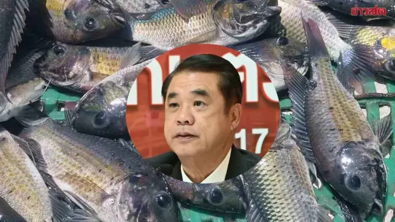 Agriculture Ministry Allocates 70 Million Baht to Combat Black Carp Outbreak