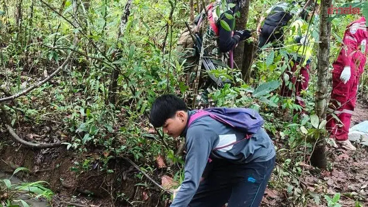 Man Searching for Mushrooms in Nam Nao Forest Attacked by Wild Elephant, Body Severely Mutilated