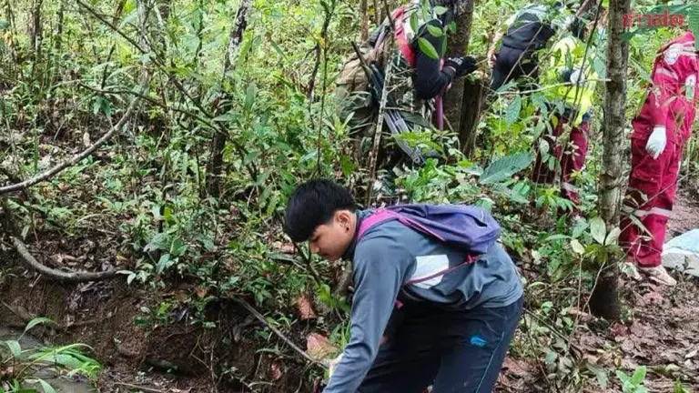 Man Searching for Mushrooms in Nam Nao Forest Attacked by Wild Elephant, Body Severely Mutilated