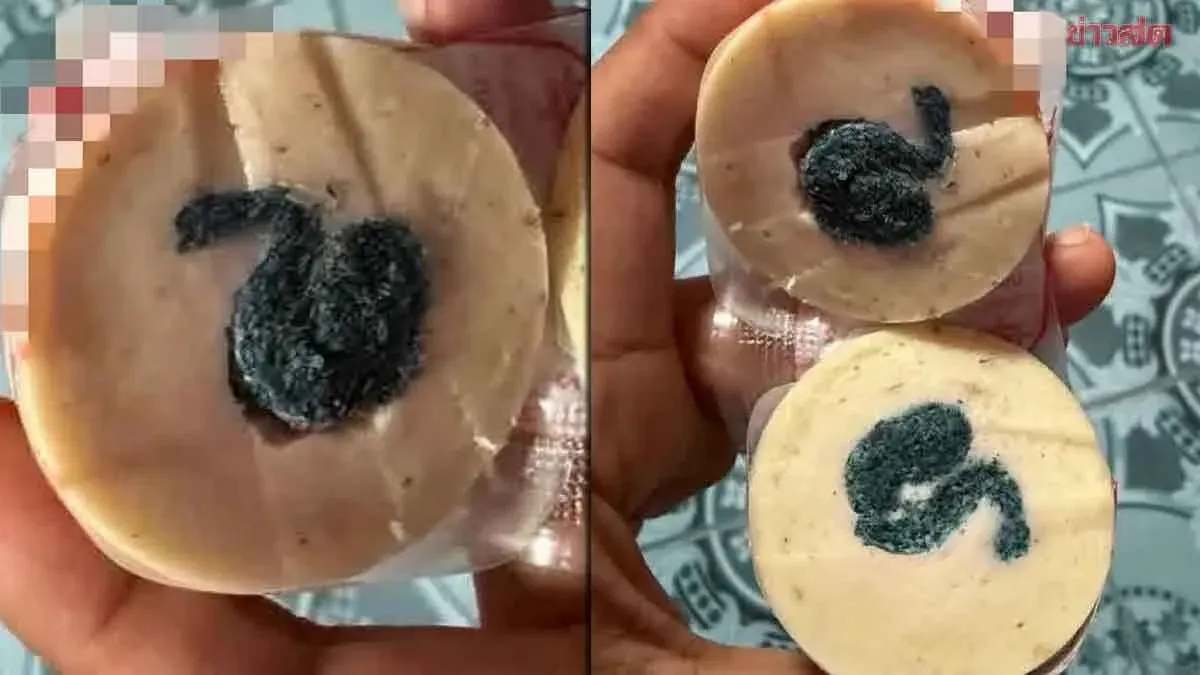 Dish Scrubber Found Inside Packaged Pork