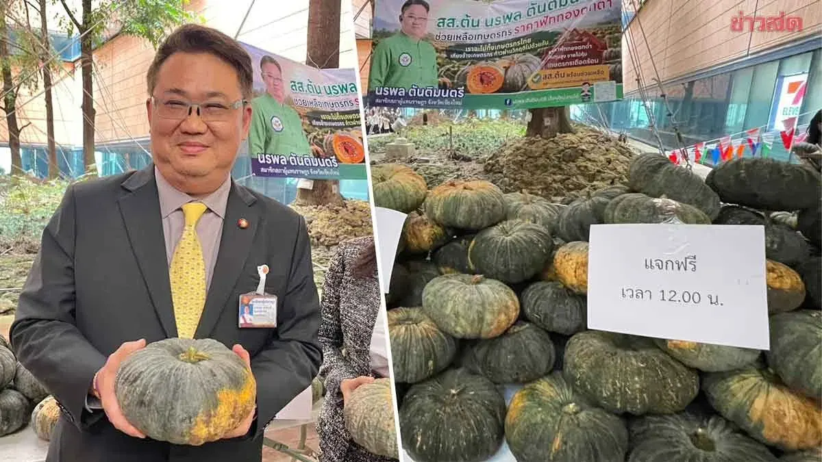 MP Distributes 4 Tons of Pumpkins as Prices Plummet to 3 Baht Per Kg