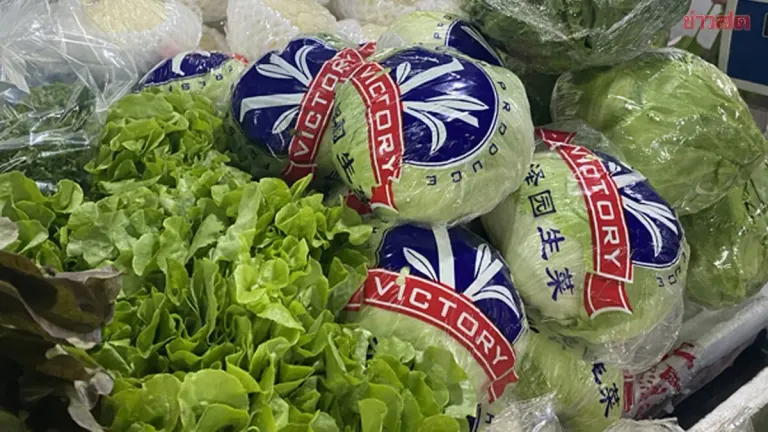 Thai Farmers Warn of Chinese Produce Flooding Market