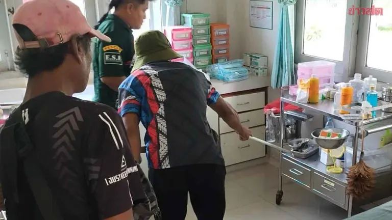 Four Green Pit Vipers Invade Hospital Wound Room