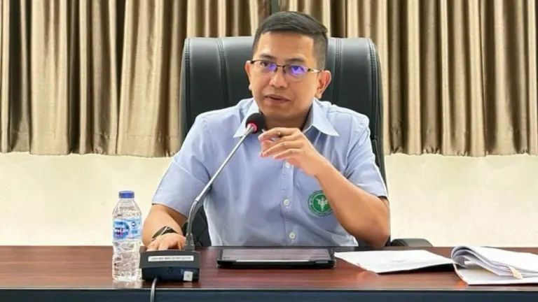 Phuket Health Officials Report Mental Health Care Progress