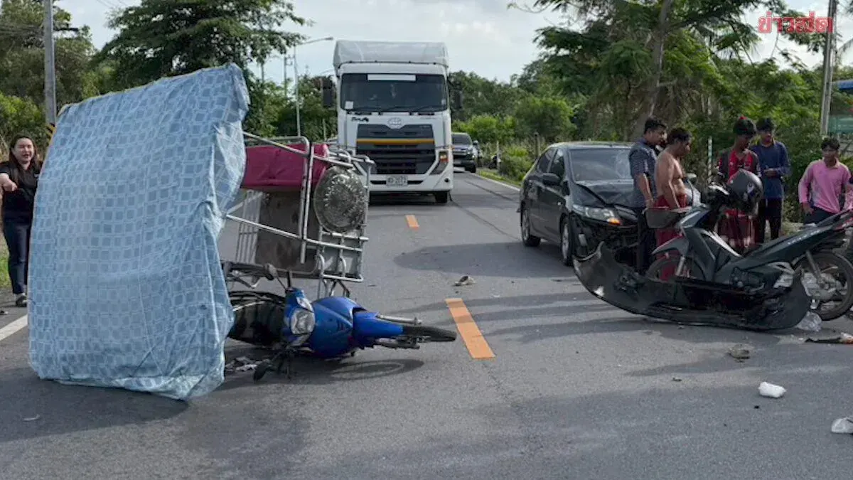 Man on Motorcycle with Sidecar Brakes Suddenly to Let Turtle Cross Road; Following Car Crashes, Injuring Three