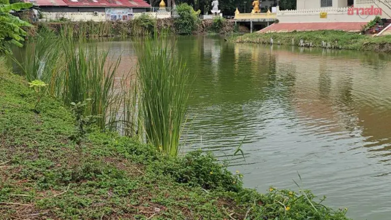 Girl Student Falls Into Temple Pond In Nakhon Ratchasima