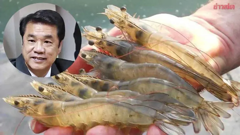 Malaysia to Lift Thai Shrimp Import Ban Within 30 Days
