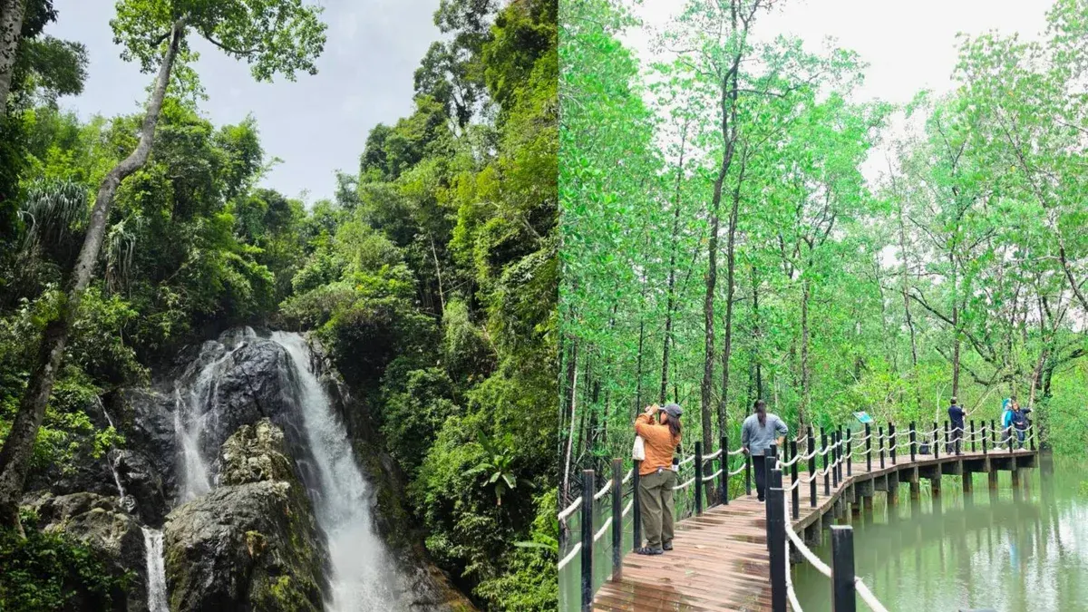 Ranong's Twin National Parks Showcase Ancient Mangroves and Waterfalls